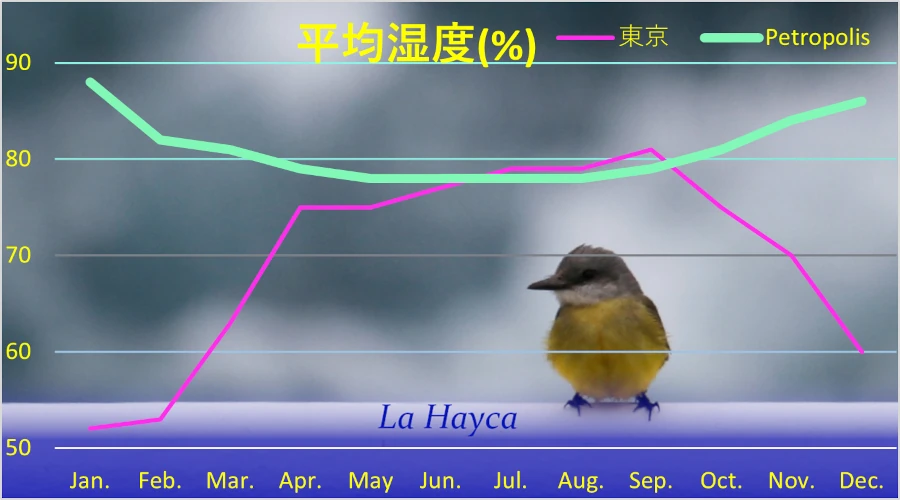 平均湿度：リオデジャネイロ州