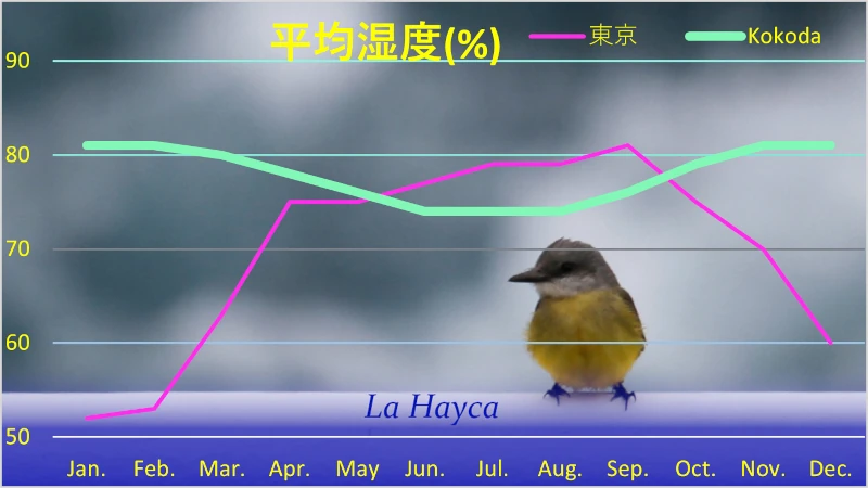 ココダの平均湿度